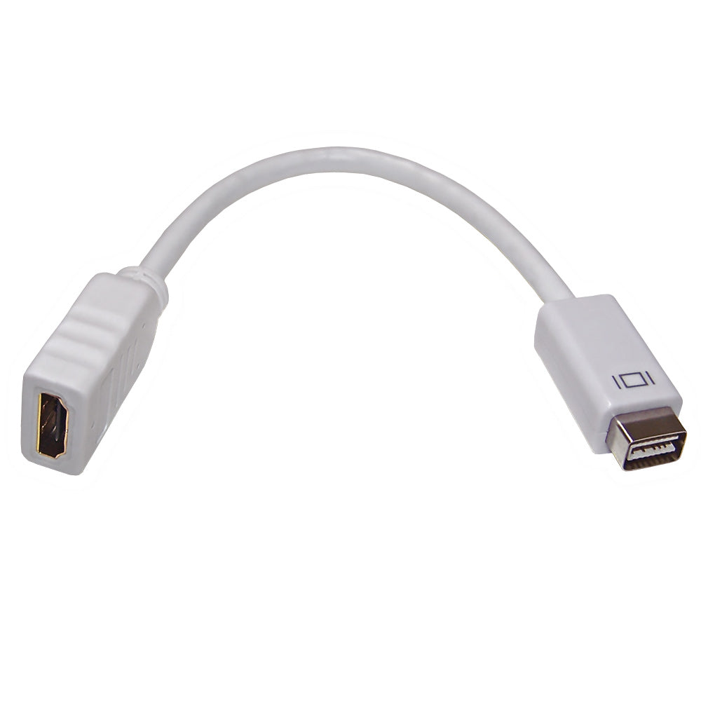 6 inch Mini DVI Male to HDMI Female Adapter - White – Generic