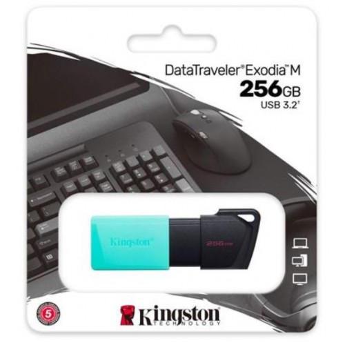Kingston USB 3.2 Flash Drive DTXM/256GB (NO CAP) – USB Memory Stick