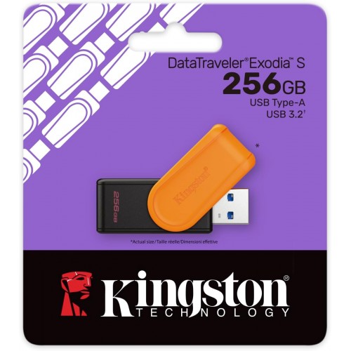 Kingston USB3.2 Flash Drive DTXS/256GB – USB Memory Stick